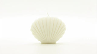 Scented Soy Candle "Shell" Ivory